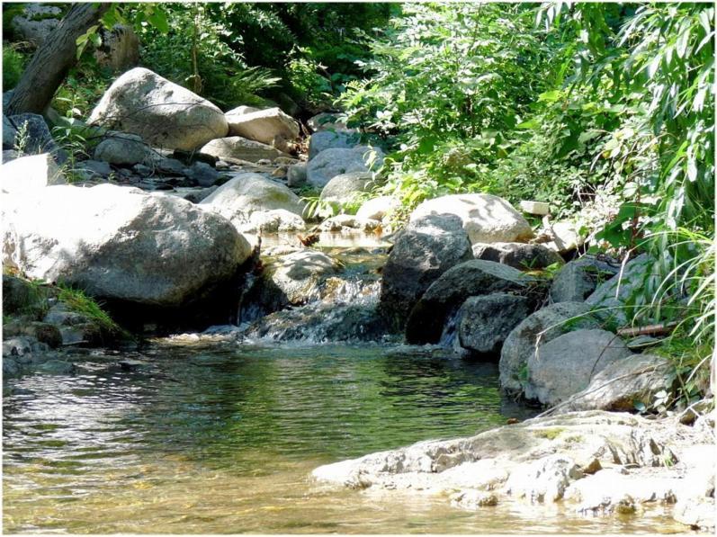 Gites En Cevennes "Chez Steloune" Genolhac Bagian luar foto