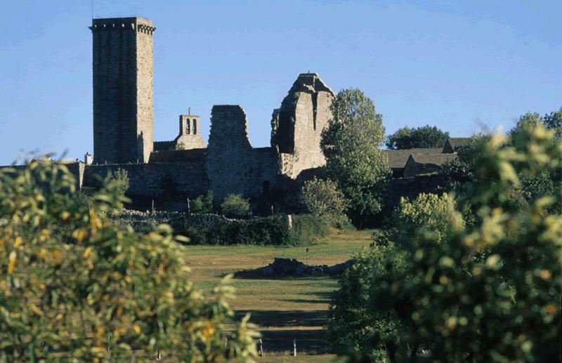 Gites En Cevennes "Chez Steloune" Genolhac Bagian luar foto