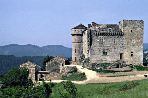 Gites En Cevennes "Chez Steloune" Genolhac Bagian luar foto
